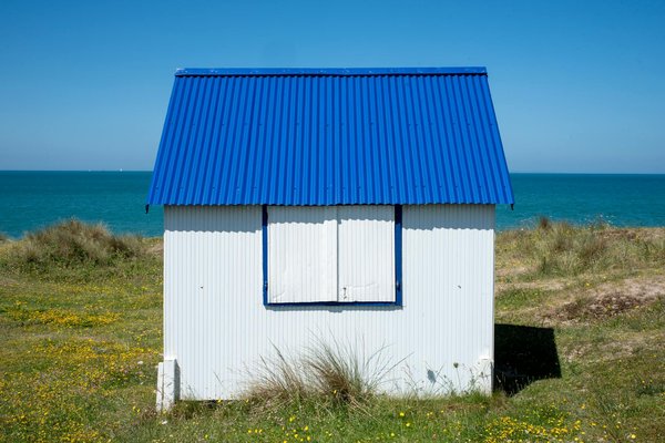 Quels sont les meilleurs itinéraires pour une croisière sur le fleuve Amazone au Brésil?