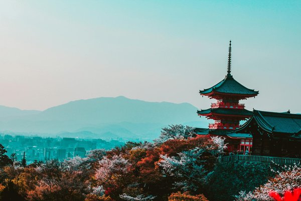 Tendances actuelles et bons plans à découvrir au japon